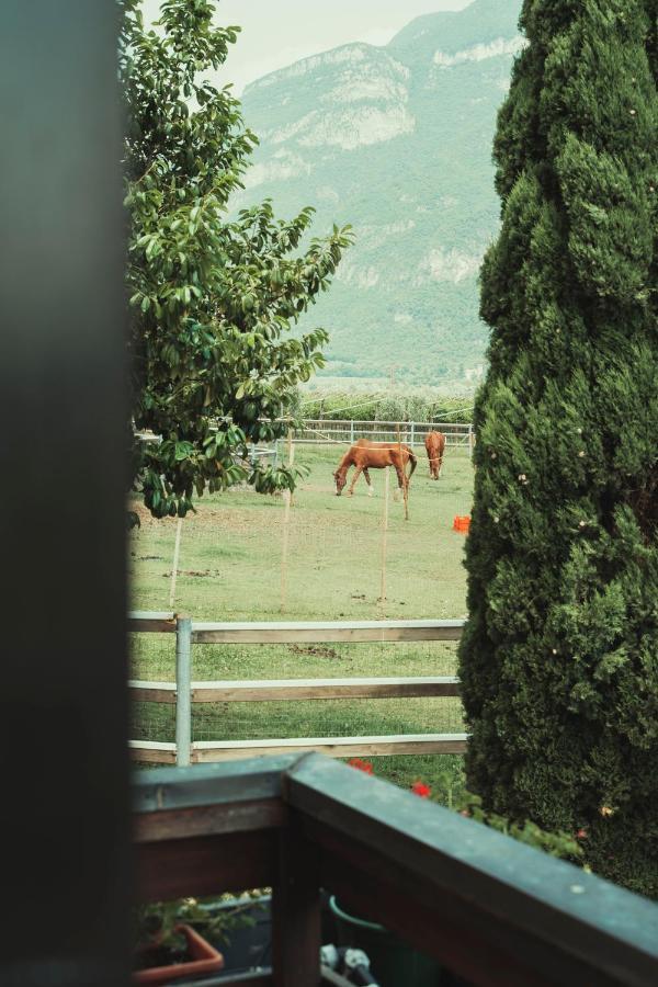 Az. Agr. Tenuta La Casetta Mama di Sopra Dış mekan fotoğraf